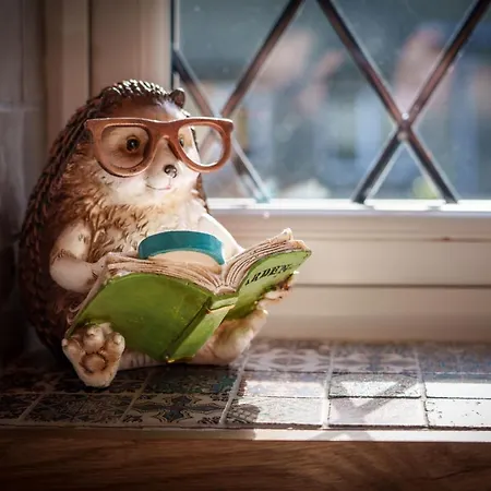 Дом отдыха - Уиндермир