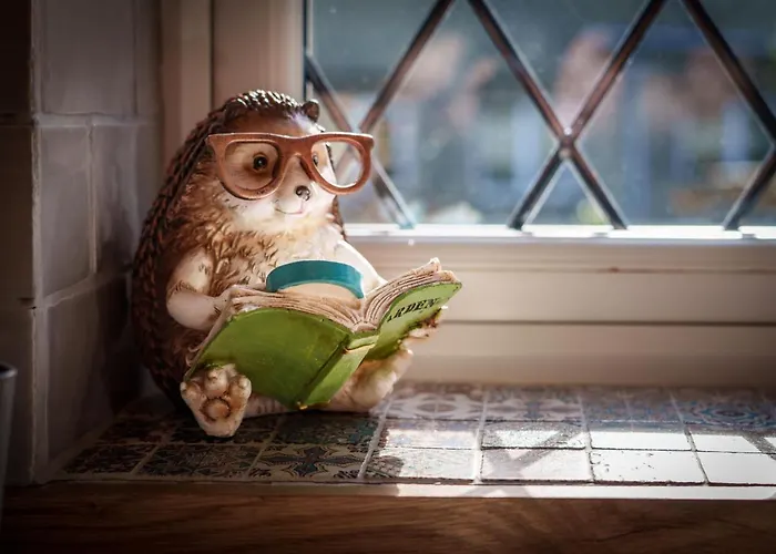 度假居 - 温德米尔